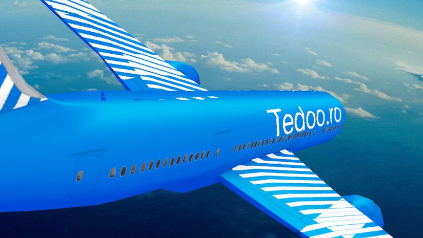 Boeing 787 Dreamliner personalizat Tedoo