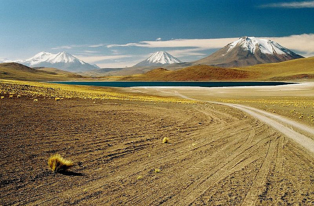 Chile desertul Atacama