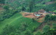 Thailand Rice terrace