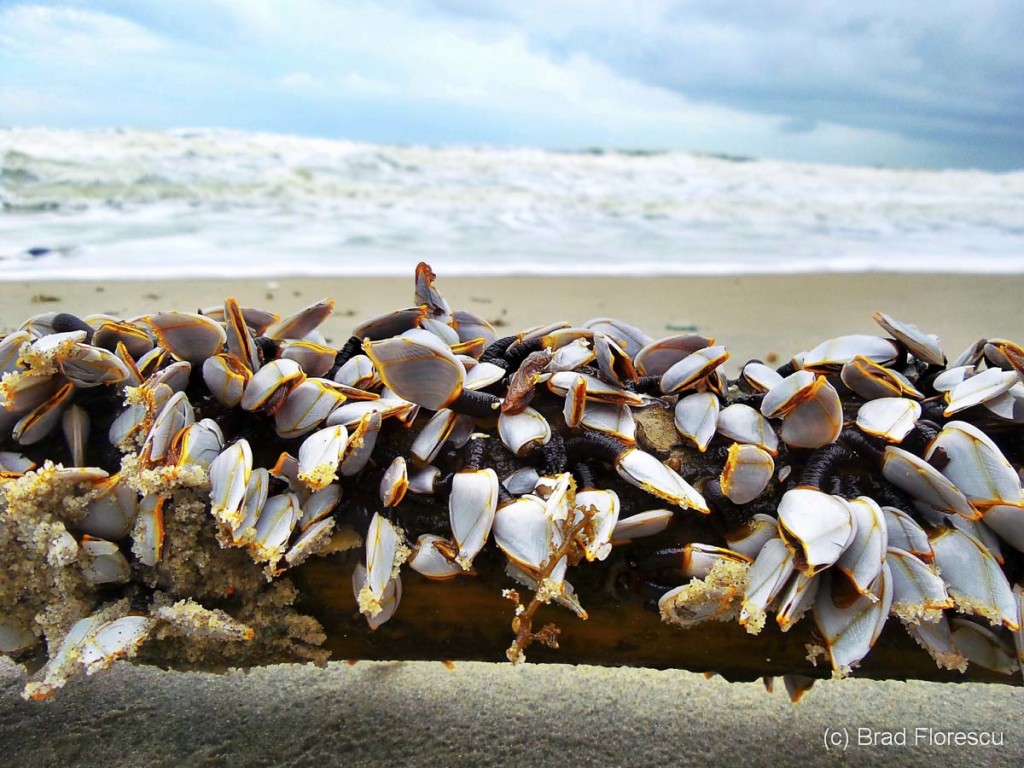 plaja Khanom Thailanda 2