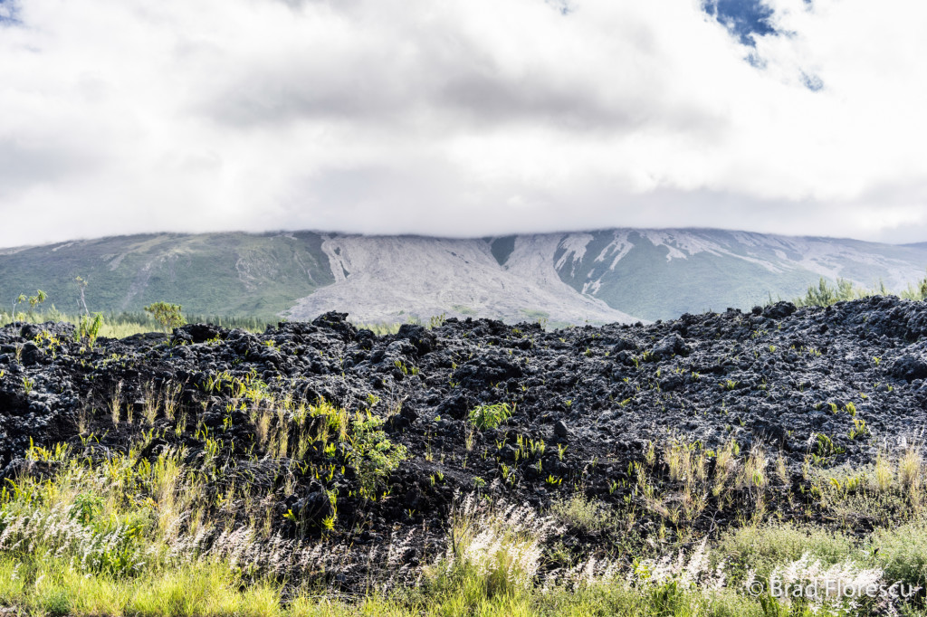 Pe coasta de sud-est, pustiită de erupțiile lui Piton de la Fournaise. Cameră SONY A7.