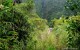 La Reunion cascade