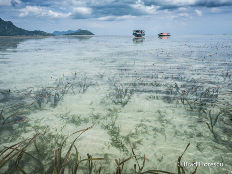 Orang Laut Bajau Borneo