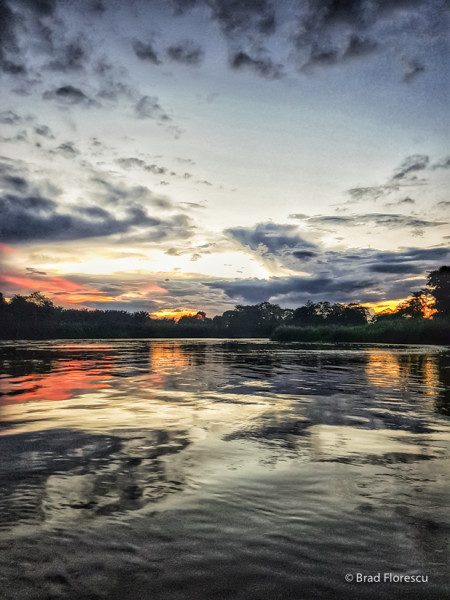 Pe râul Kinabatangan, Sabah, Borneo.