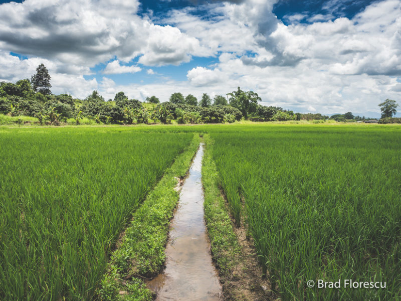 Chiang Mai Thailanda